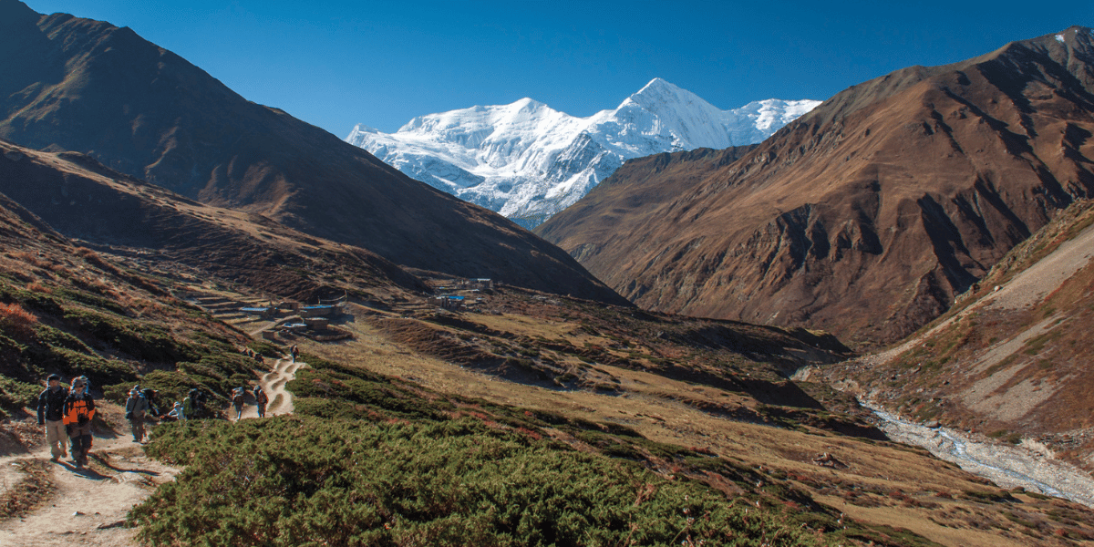 Yak Kharka Image